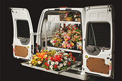 Ford Transit and Transit Connect Photo Gallery | South Bay Ford Commercial