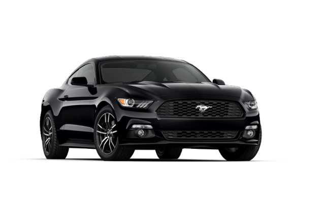 Mustang Mustang