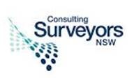 Consulting Surveyors Consulting Surveyors