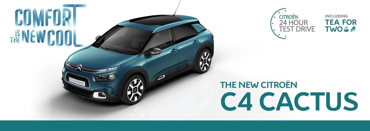 New C4 Cactus New C4 Cactus