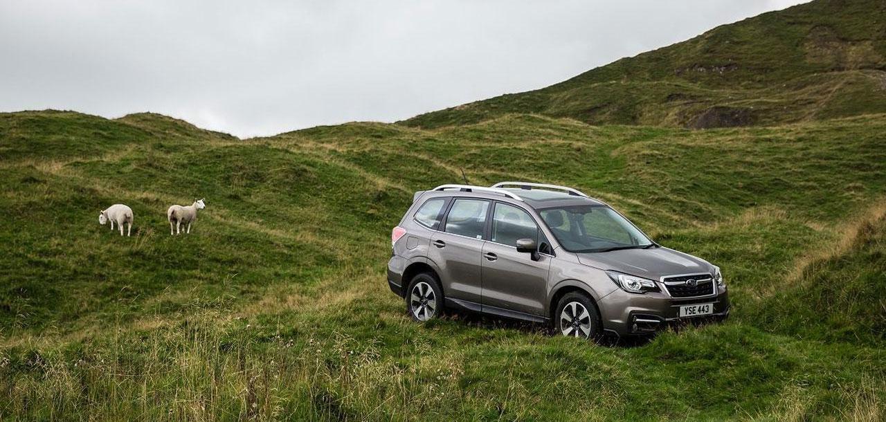 Subaru Used Car Offers Subaru Used Car Offers