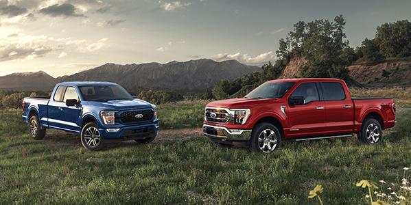 3 2023 FORD F-150® trucks parked in the desert | South Bay Ford