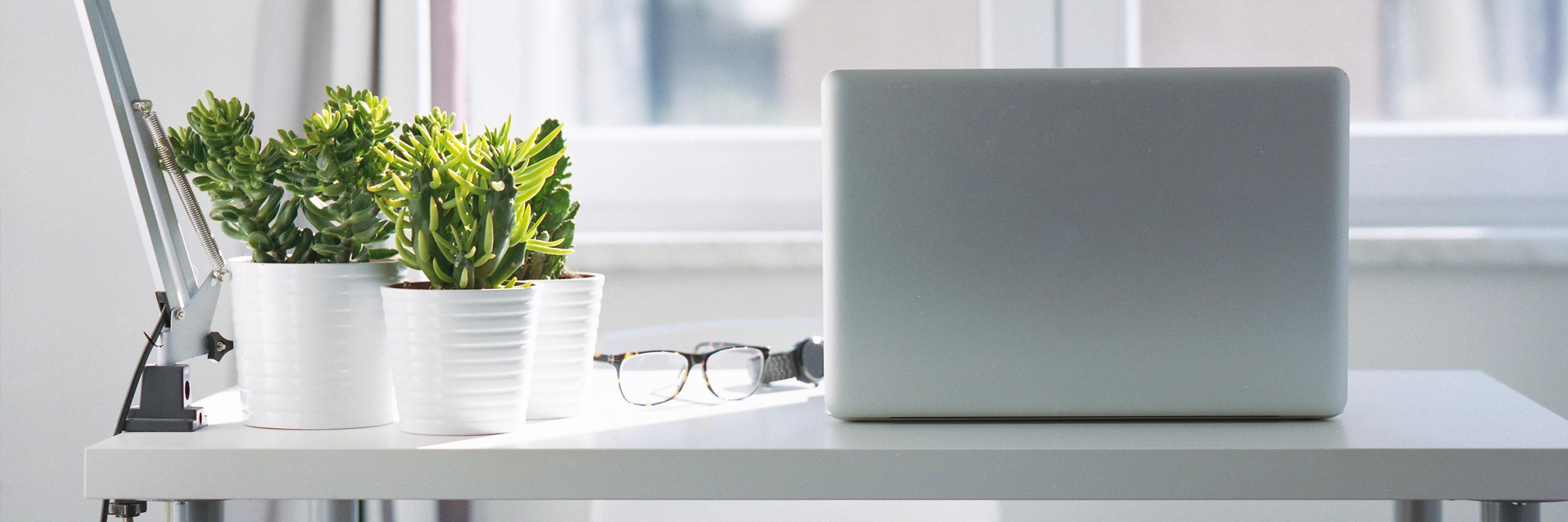 Contact Bosch Auto Service