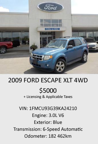 2009 Ford Escape XLT 4WD 2009 Ford Escape XLT 4WD