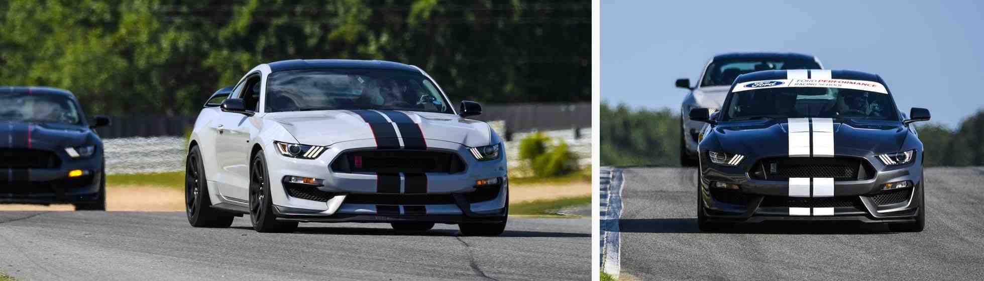 Shelby GT350 Shelby GT350