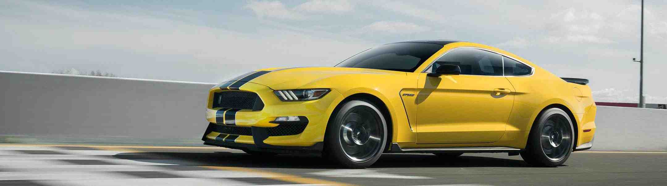 Shelby GT350 Shelby GT350