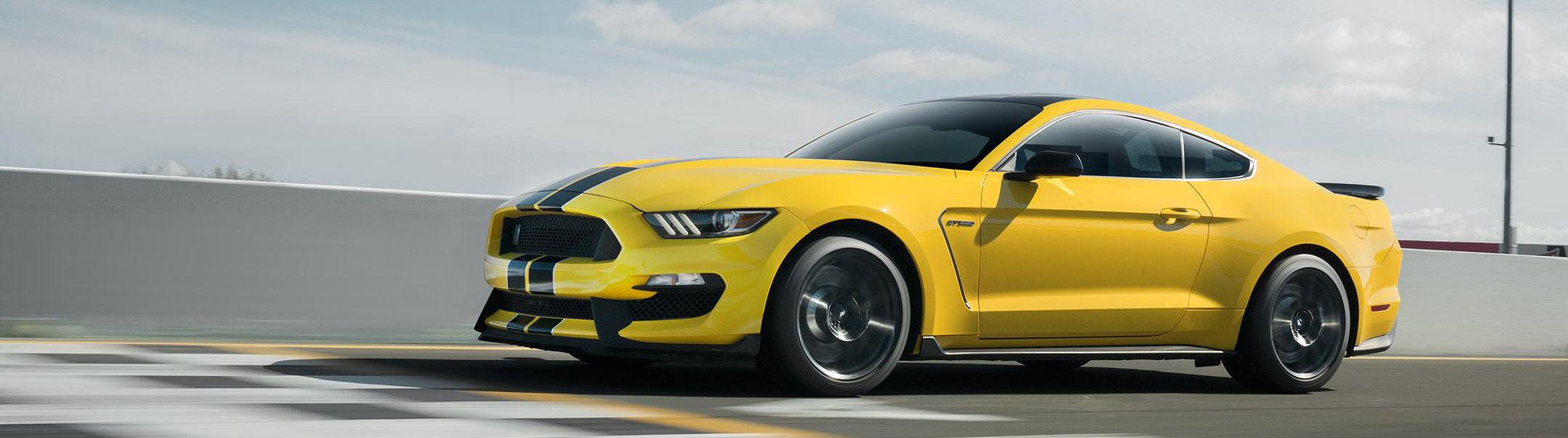Shelby GT350 Shelby GT350