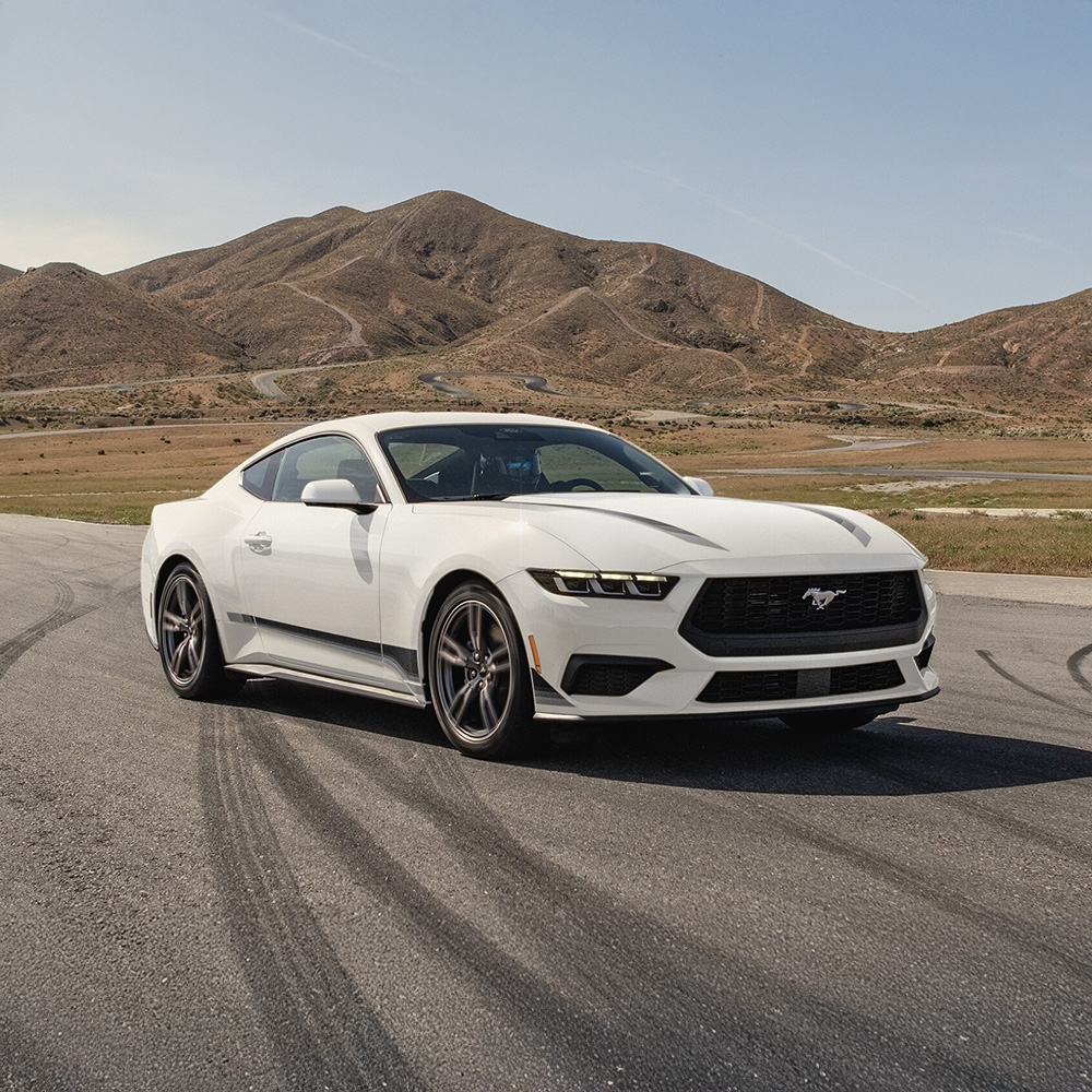 Mustang