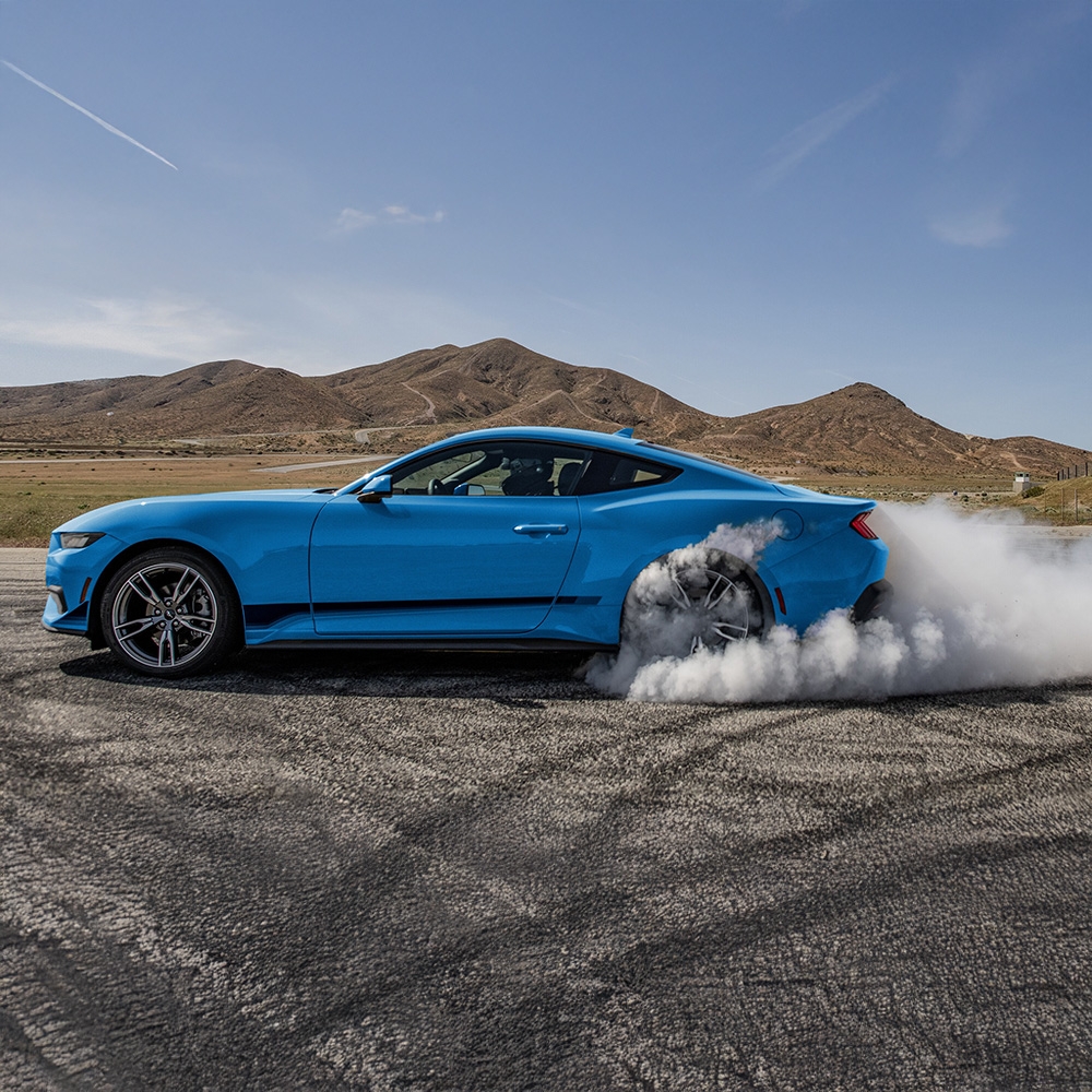 Mustang