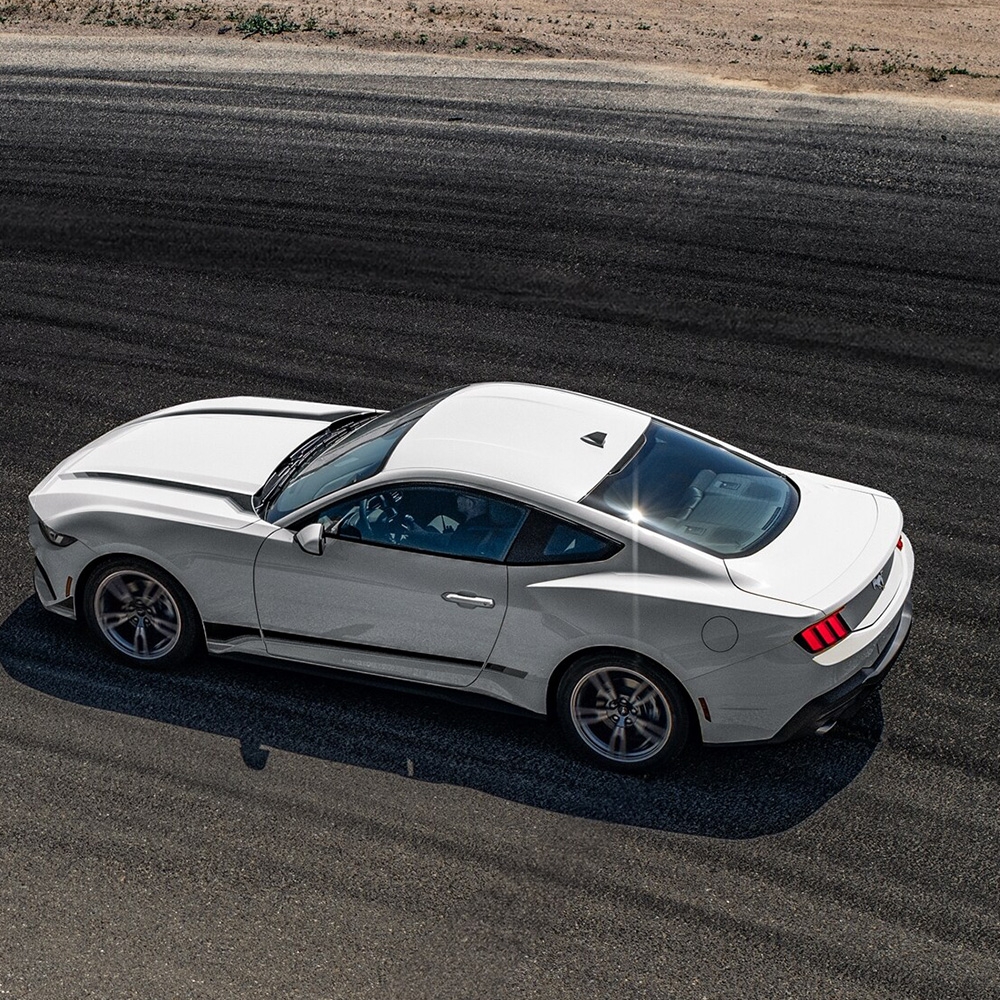 Mustang