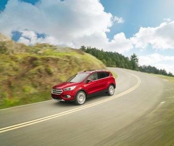 Best Spring Road Trips in SoCal Best Spring Road Trips in SoCal