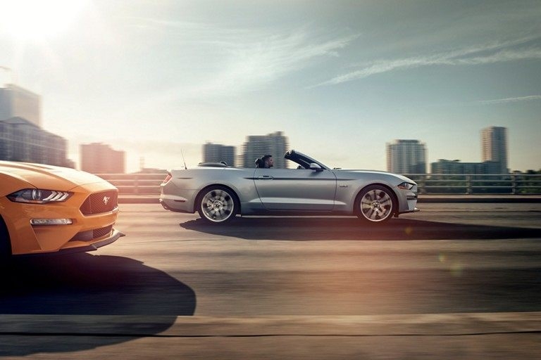 2019 Mustang 2019 Mustang