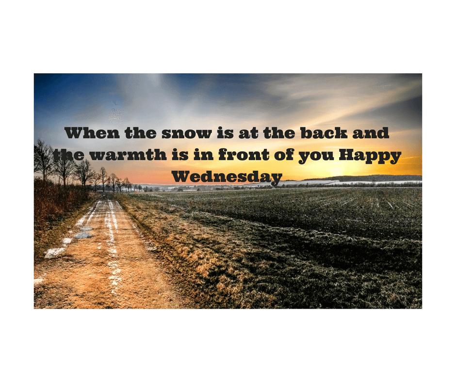 Snow in the back Snow in the back