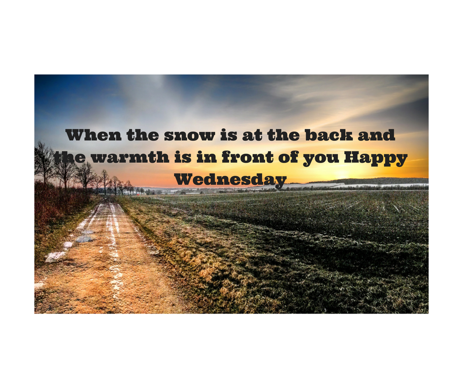 Snow in the back Snow in the back