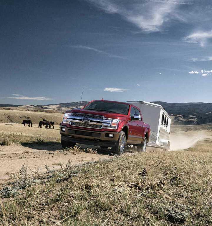 2019 F-150 2019 F-150