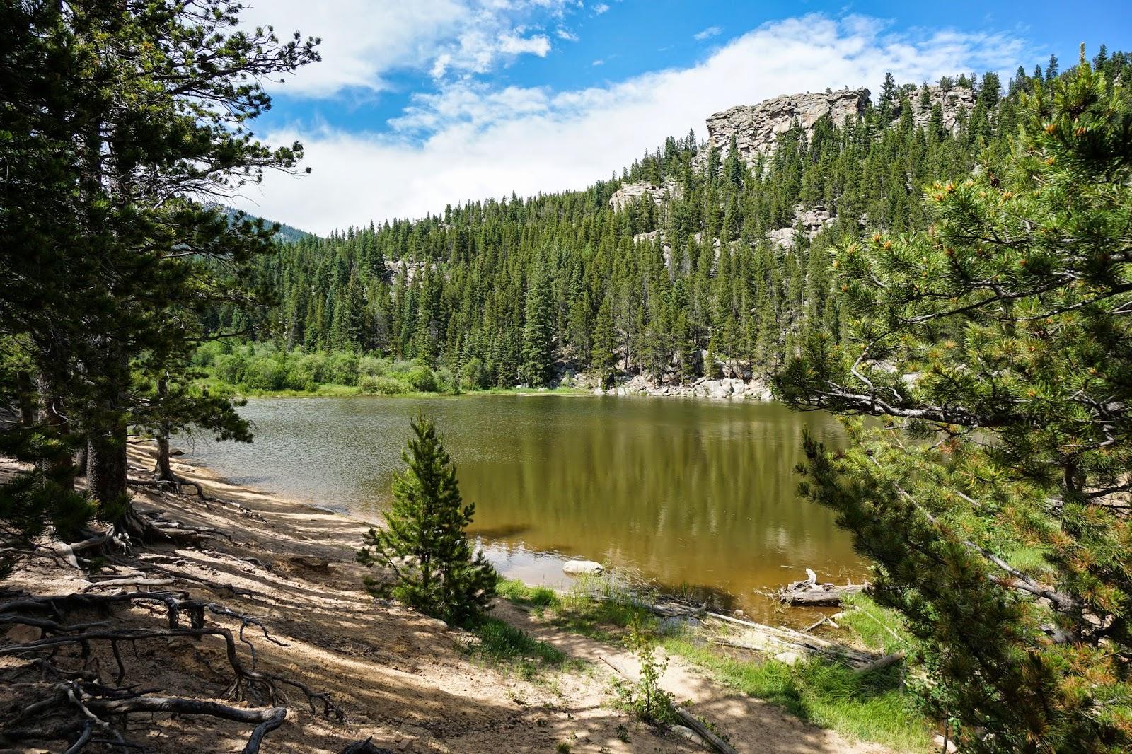 Hiking Safety in Black Hawk Snowshoe Hare Trail