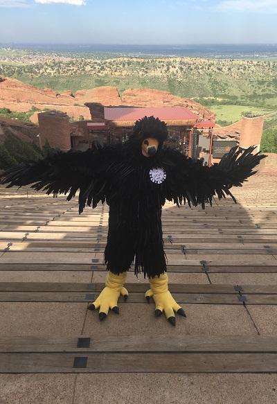 Hawk Hawk