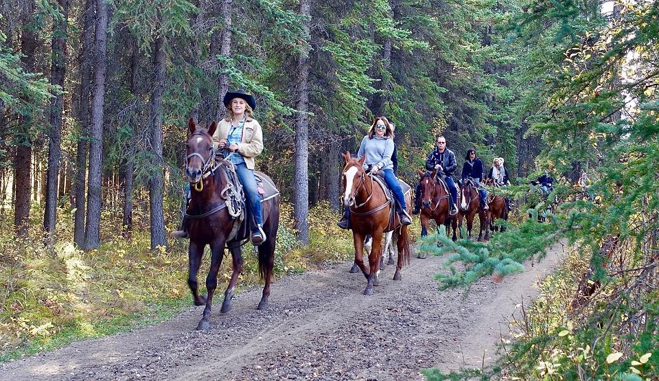 Trail Riding Trail Riding