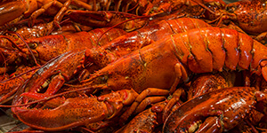 The Buffet The Buffet